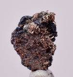 1cms NATIVE SILVER WIRE PERU UCHUCCHACUA MINE MINERAL SPECIMEN HB333