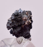 0.8cms NATIVE SILVER WIRE PERU UCHUCCHACUA MINE MINERAL SPECIMEN HB334