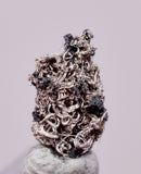 0.7cms NATIVE SILVER WIRE PERU UCHUCCHACUA MINE MINERAL SPECIMEN HB339
