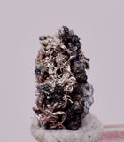 0.7cms NATIVE SILVER WIRE PERU UCHUCCHACUA MINE MINERAL SPECIMEN HB339