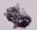 1.3cms PROUSTITE PYRARGIRITE RUBY SILVER PERU UCHUCCHACUA MINE HB318