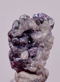 1.2cms PROUSTITE PYRARGIRITE RUBY SILVER PERU UCHUCCHACUA MINE HB319