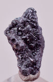1.5cms PROUSTITE PYRARGIRITE RUBY SILVER PERU UCHUCCHACUA MINE HB320