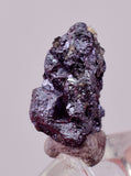 1.1cms PROUSTITE PYRARGIRITE RUBY SILVER PERU UCHUCCHACUA MINE HB323