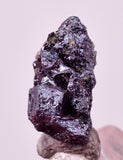 1.1cms PROUSTITE PYRARGIRITE RUBY SILVER PERU UCHUCCHACUA MINE HB323