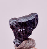 0.7cms PROUSTITE PYRARGIRITE RUBY SILVER PERU UCHUCCHACUA MINE HB324