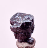 0.7cms PROUSTITE PYRARGIRITE RUBY SILVER PERU UCHUCCHACUA MINE HB324
