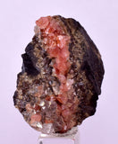 3.6cm RHODOCHROSITE CRYSTALS PERU OLD STOCK UCHUCCHACUA MINERAL SPECIMEN RB725