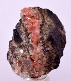 3.6cm RHODOCHROSITE CRYSTALS PERU OLD STOCK UCHUCCHACUA MINERAL SPECIMEN RB725