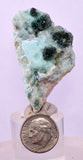 5.1cms DRUZY CHRYSOCOLLA QUARTZ MALACHITE LILY MINE PERU COPPER DB200