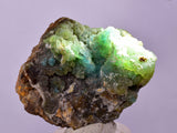 4.4cms DRUZY CHRYSOCOLLA QUARTZ CRYSTAL PERU COPPER LILY MINE DB207