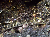 17cms MARCASITE BLADED PYRITE QUARTZ  ARSENOPYRYTE  BORNITE PERU CRYSTALS MB207