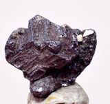 0.8cms PROUSTITE PYRARGIRITE RUBY SILVER PERU UCHUCCHACUA MINE HB342