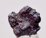 0.8cms PROUSTITE PYRARGIRITE RUBY SILVER PERU UCHUCCHACUA MINE HB342