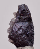 1.3cms PROUSTITE PYRARGIRITE RUBY SILVER PERU UCHUCCHACUA MINE HB343