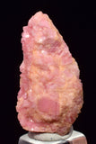 2.7 cms RHODOCHROSITE CRYSTAL RHOMBOHEDRAL MINIATURE RB727