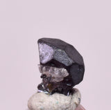 0.5cms ACANTHITE NATIVE SILVER PYRITE PERU UCHUCCHACUA MINE HB348