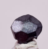 0.5cms ACANTHITE NATIVE SILVER PYRITE PERU UCHUCCHACUA MINE HB348