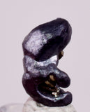 0.6cms ACANTHITE NATIVE SILVER PYRITE PERU UCHUCCHACUA MINE HB349