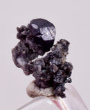0.9cms ACANTHITE NATIVE SILVER PYRITE PERU UCHUCCHACUA MINE HB350
