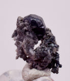0.9cms ACANTHITE NATIVE SILVER PYRITE PERU UCHUCCHACUA MINE HB350