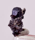 0.9cms ACANTHITE NATIVE SILVER PYRITE PERU UCHUCCHACUA MINE HB350