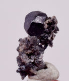 0.9cms ACANTHITE NATIVE SILVER PYRITE PERU UCHUCCHACUA MINE HB350