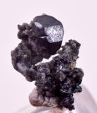 0.9cms ACANTHITE NATIVE SILVER PYRITE PERU UCHUCCHACUA MINE HB350