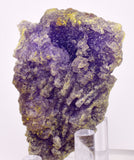 5.8cms COQUIMBITE ALUNOGEN CRYSTAL ROMERITE COPIATITE MINERAL SPECIMEN UB359