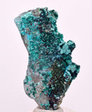 5cms QUARTZ CHRYSOCOLLA BOTRYOIDAL TENTADORA MINE PERU MINERAL SPECIMEN CB236