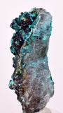 5cms QUARTZ CHRYSOCOLLA BOTRYOIDAL TENTADORA MINE PERU MINERAL SPECIMEN CB236