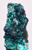 5cms QUARTZ CHRYSOCOLLA BOTRYOIDAL TENTADORA MINE PERU MINERAL SPECIMEN CB236