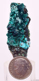 5cms QUARTZ CHRYSOCOLLA BOTRYOIDAL TENTADORA MINE PERU MINERAL SPECIMEN CB236