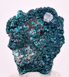 3.2cms QUARTZ CHRYSOCOLLA BOTRYOIDAL TENTADORA MINE PERU MINERAL SPECIMEN CB237