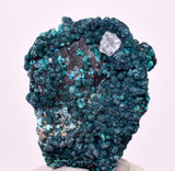 3.2cms QUARTZ CHRYSOCOLLA BOTRYOIDAL TENTADORA MINE PERU MINERAL SPECIMEN CB237