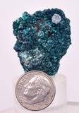 3.2cms QUARTZ CHRYSOCOLLA BOTRYOIDAL TENTADORA MINE PERU MINERAL SPECIMEN CB237
