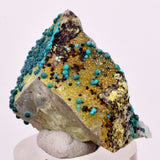3.1cms QUARTZ CHRYSOCOLLA BOTRYOIDAL TENTADORA MINE PERU MINERAL SPECIMEN CB239
