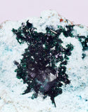5.5cms ATACAMITE CRYSTAL CHRYSOCOLLA QUARTZ LILY MINE PERU MINERAL AB308