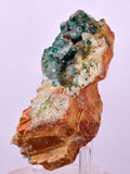 10.4cms DRUZY CHRYSOCOLLA QUARTZ MALACHITECRYSTAL PERU COPPER LILY MINE DB217