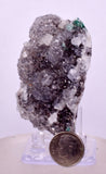 6.3cms DRUZY CHRYSOCOLLA QUARTZ CRYSTAL PERU COPPER LILY MINE DB221