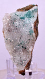 6.7cms DRUZY CHRYSOCOLLA ATACAMITE QUARTZ CRYSTAL PERU COPPER LILY MINE DB222