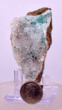 6.7cms DRUZY CHRYSOCOLLA ATACAMITE QUARTZ CRYSTAL PERU COPPER LILY MINE DB222