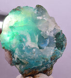 5.1cms DRUZY CHRYSOCOLLA QUARTZ CRYSTAL PERU COPPER LILY MINE DB229