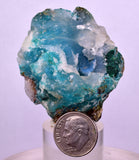 5.1cms DRUZY CHRYSOCOLLA QUARTZ CRYSTAL PERU COPPER LILY MINE DB229