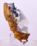 6.9cms GEM ATACAMITE QUARTZ CRYSTAL LILY MINE PERU MINERAL AB309
