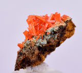 2cms GEM RED CROCOITE CRYSTALS CLUSTER MATRIX ADELAIDE MINE AUSTRALIA ZB46