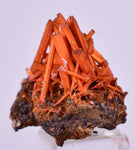 2.5cms GEM RED CROCOITE CRYSTALS CLUSTER MATRIX ADELAIDE MINE AUSTRALIA ZB47