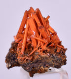 2.5cms GEM RED CROCOITE CRYSTALS CLUSTER MATRIX ADELAIDE MINE AUSTRALIA ZB47