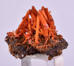 2.5cms GEM RED CROCOITE CRYSTALS CLUSTER MATRIX ADELAIDE MINE AUSTRALIA ZB47