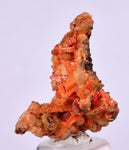 2.6cms GEM RED CROCOITE CRYSTALS CLUSTER MATRIX ADELAIDE MINE AUSTRALIA ZB48
